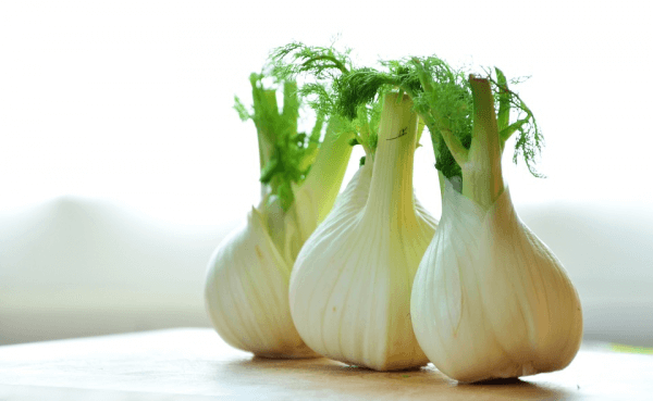 fennel to increase breast supply