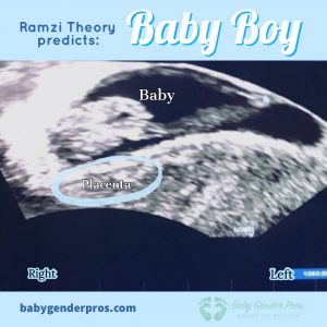 Ramzi Theory Gender Prediction