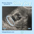 Ramzi Theory Gender Prediction | Baby Gender Pros