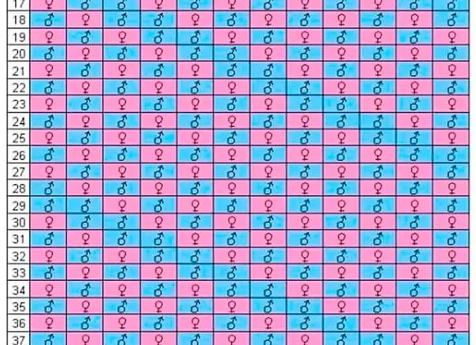 Mayan Gender predictor: Boy or Girl?